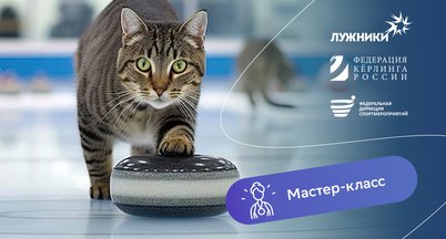 Мастер-классы по кёрлингу на катке