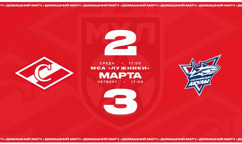 Чемпионат России по хоккею среди молодежных команд