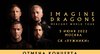 Концерт группы «Imagine Dragons» отменен